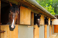 free Glencraig stable construction quotes